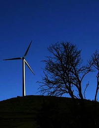 Standing out ... wind turbines have plenty of opponents.