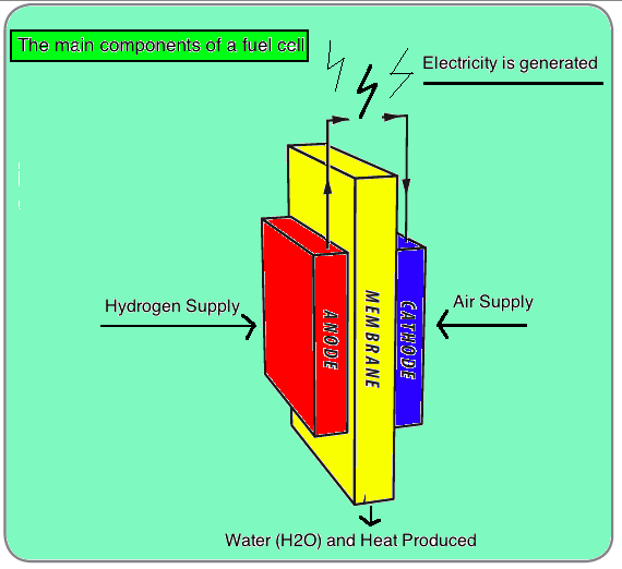 Fuel Cell Diagram